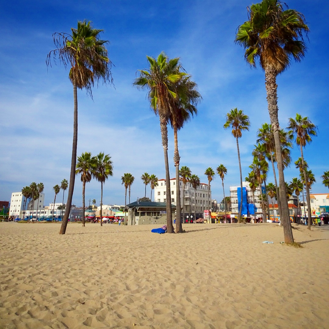 USA: Venice Beach, California